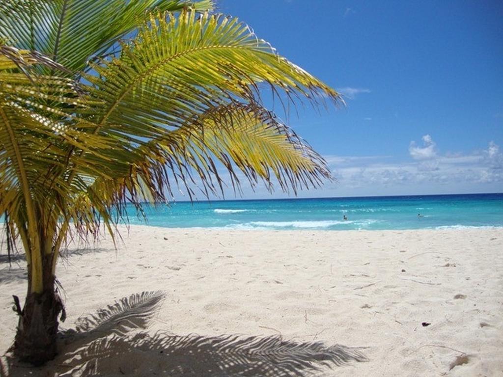 Beach Guest House Cleverdale Bridgetown Værelse billede
